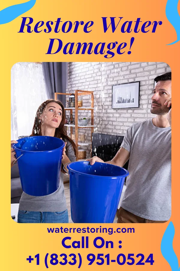 water restoration National Sewage Cleanup Force Wellsburg