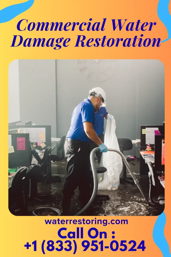 Commercial Water Damage Restoration in Wellsburg, NY