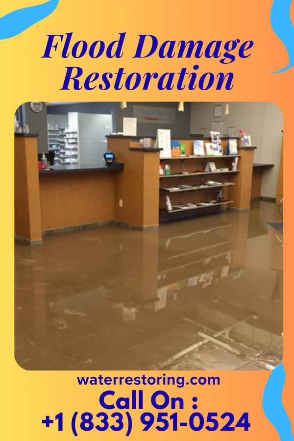 Flood Damage Restoration in Wellsburg, NY