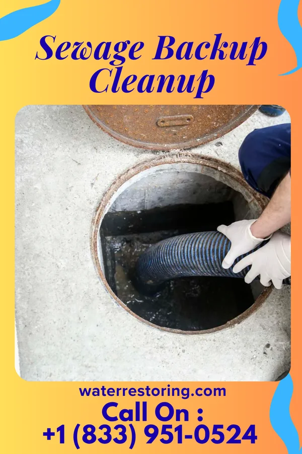 Sewage Backup Cleanup in Wellsburg, NY