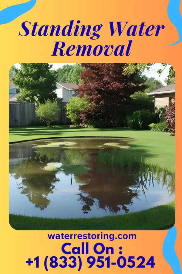 Standing Water Removal in Wellsburg, NY